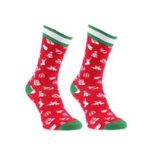 Ponožky ACCCESSORIES AW22FIL-REN BLD 41-43