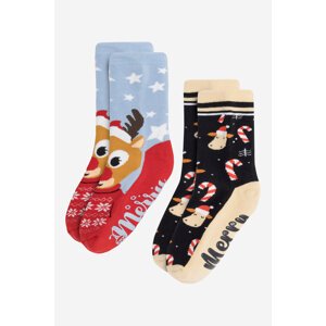 Ponožky Jenny Fairy 4WB-005-AW23 (2-PACK)